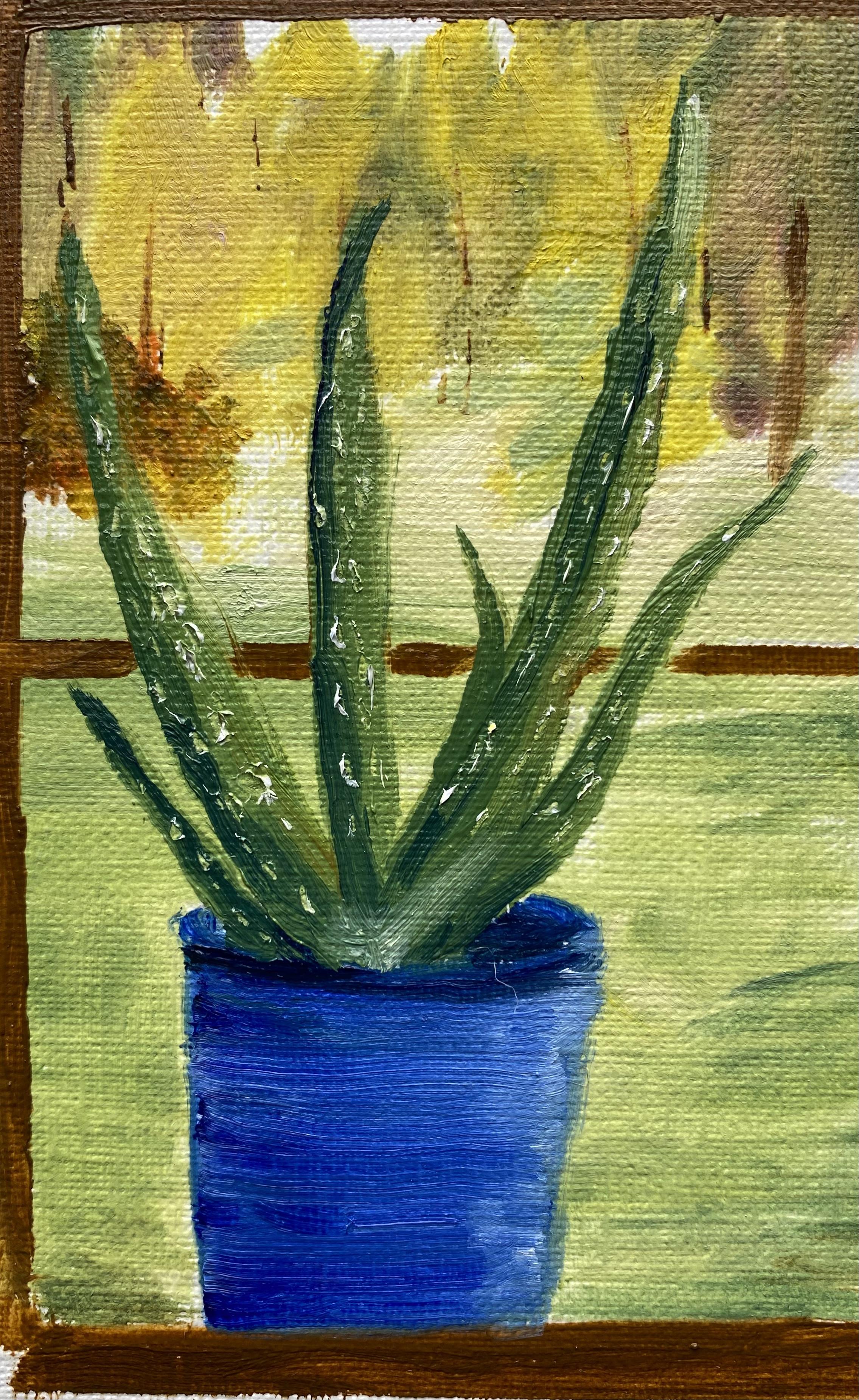 OIL FROM LIFE: Aloe Vera - WetCanvas: Online Living for Artists